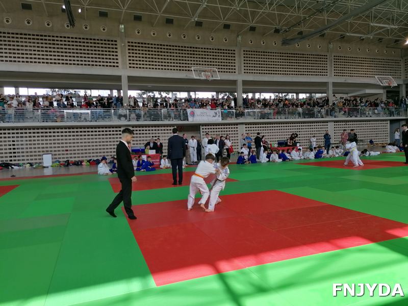 Juegos deportivos de Navarra - BENJAM&Iacute;N. RESULTADOS